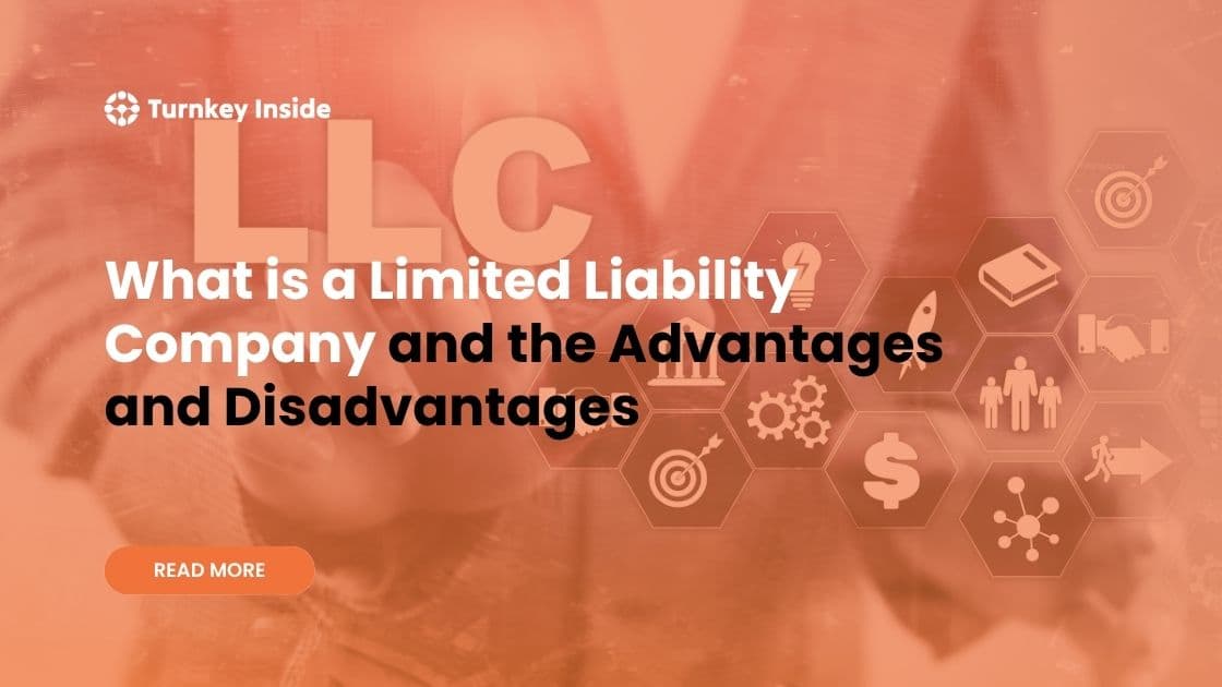 What is a Limited Liability Company and the Advantages and Disadvantages