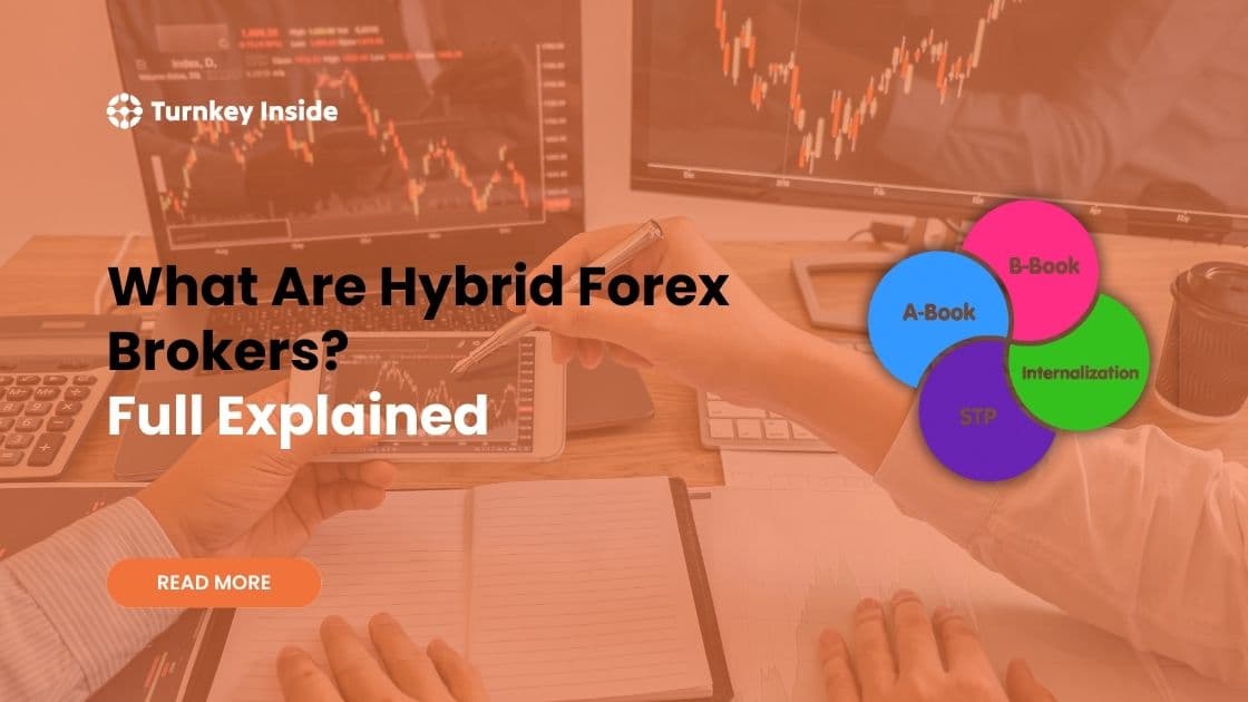 Hybrid Forex Brokers