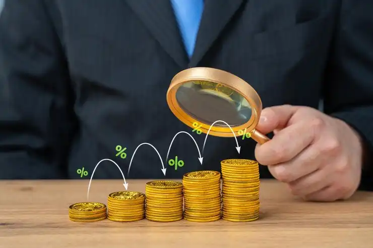 Liquidity Provider