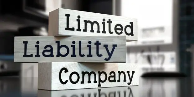 Limited Liability Companies