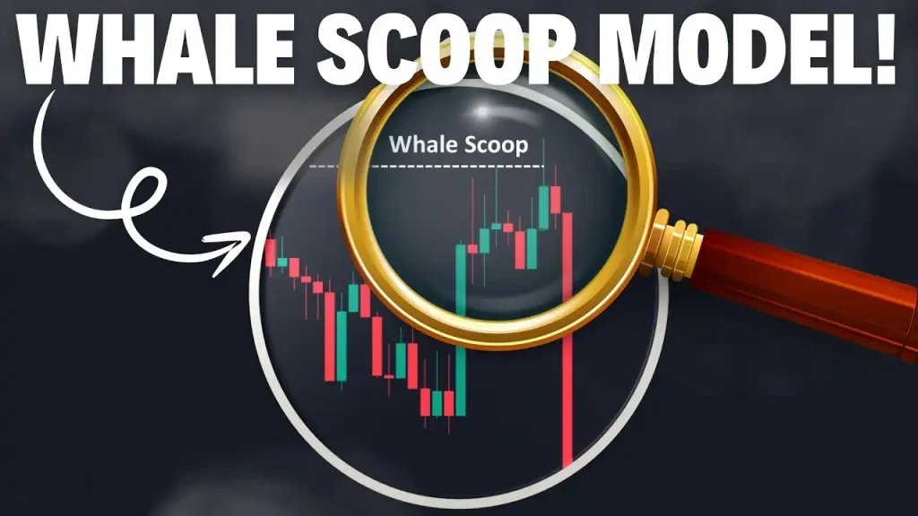 Whale Scoop Trading Strategy